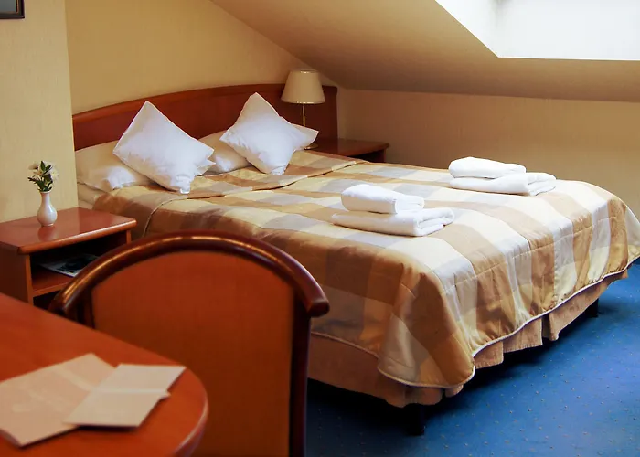 Hoff Wellness & تشوستش